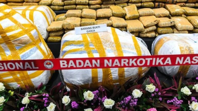 202508100805-main.cropped_1754787953