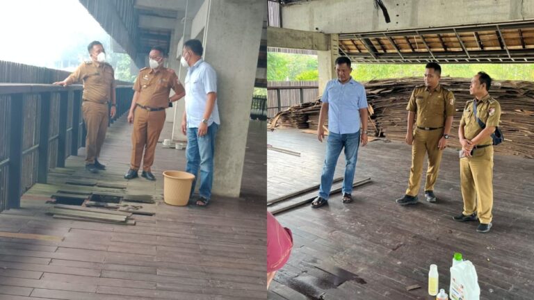 WhatsApp Image 2025-08-05 at 20.49.13