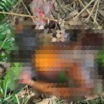 PENEMUAN-MAYAT-Polsek-Gedong-Tataan-567