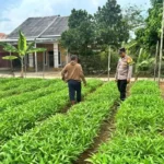 BINA-WARGA-Polsek-Simpang-Pematang-56