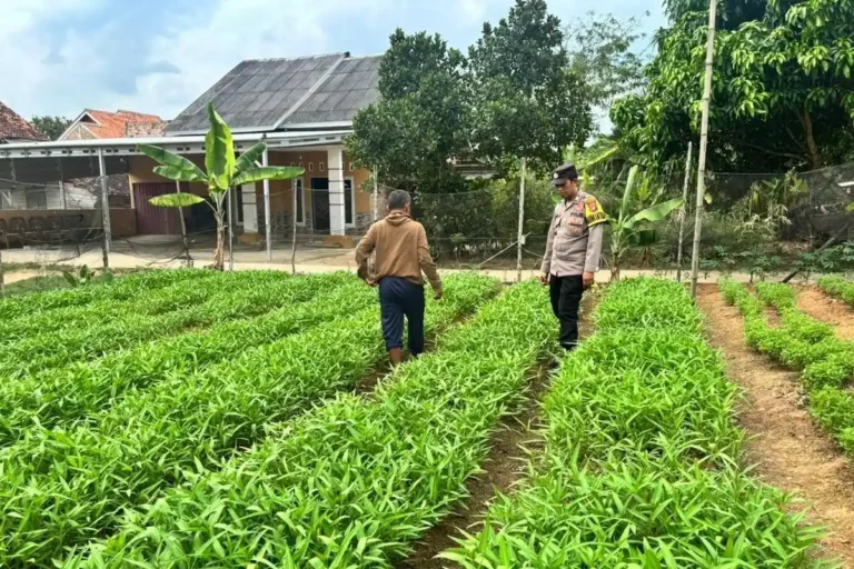 BINA-WARGA-Polsek-Simpang-Pematang-56